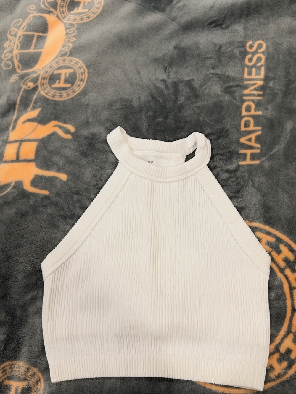 aerie White Ribbed High Neck Halter Crop Top